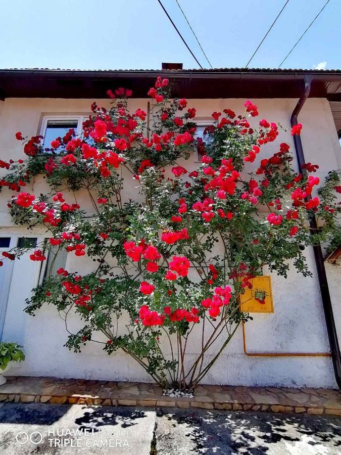 Hotel Modern&Cozy Bosnian House With Garden+Free Parking Sarajevo Esterno foto