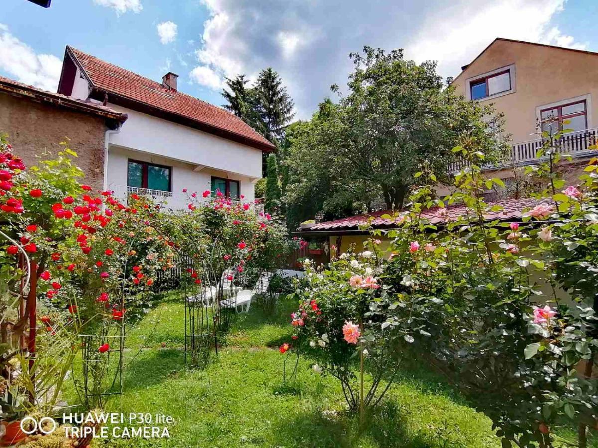 Hotel Modern&Cozy Bosnian House With Garden+Free Parking Sarajevo Esterno foto