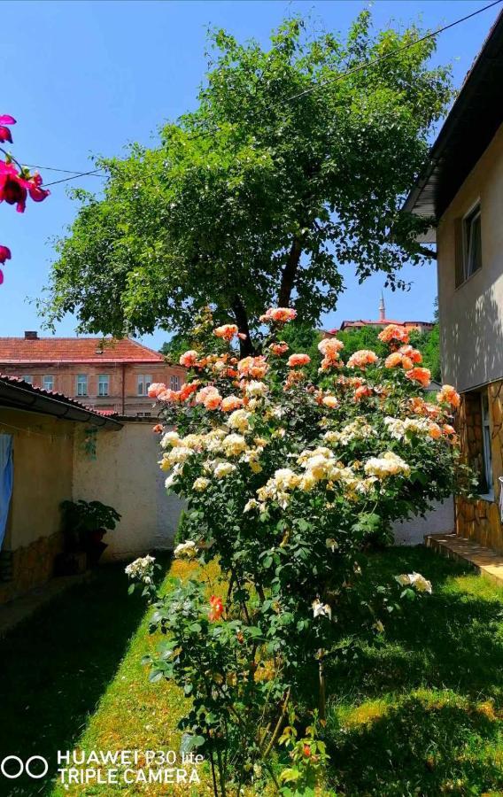 Hotel Modern&Cozy Bosnian House With Garden+Free Parking Sarajevo Esterno foto